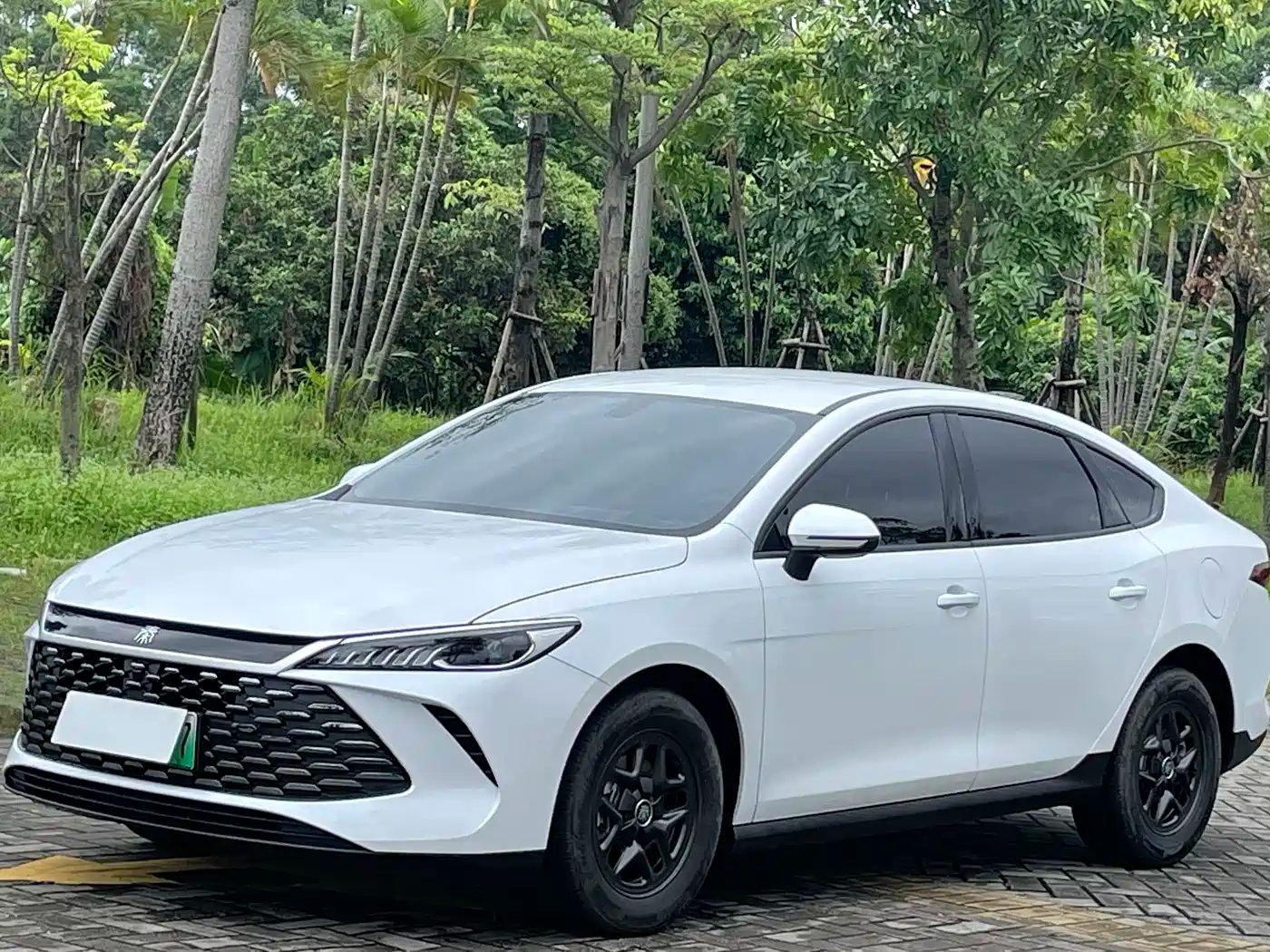 BYD Qin Plus 2025 — фото 2