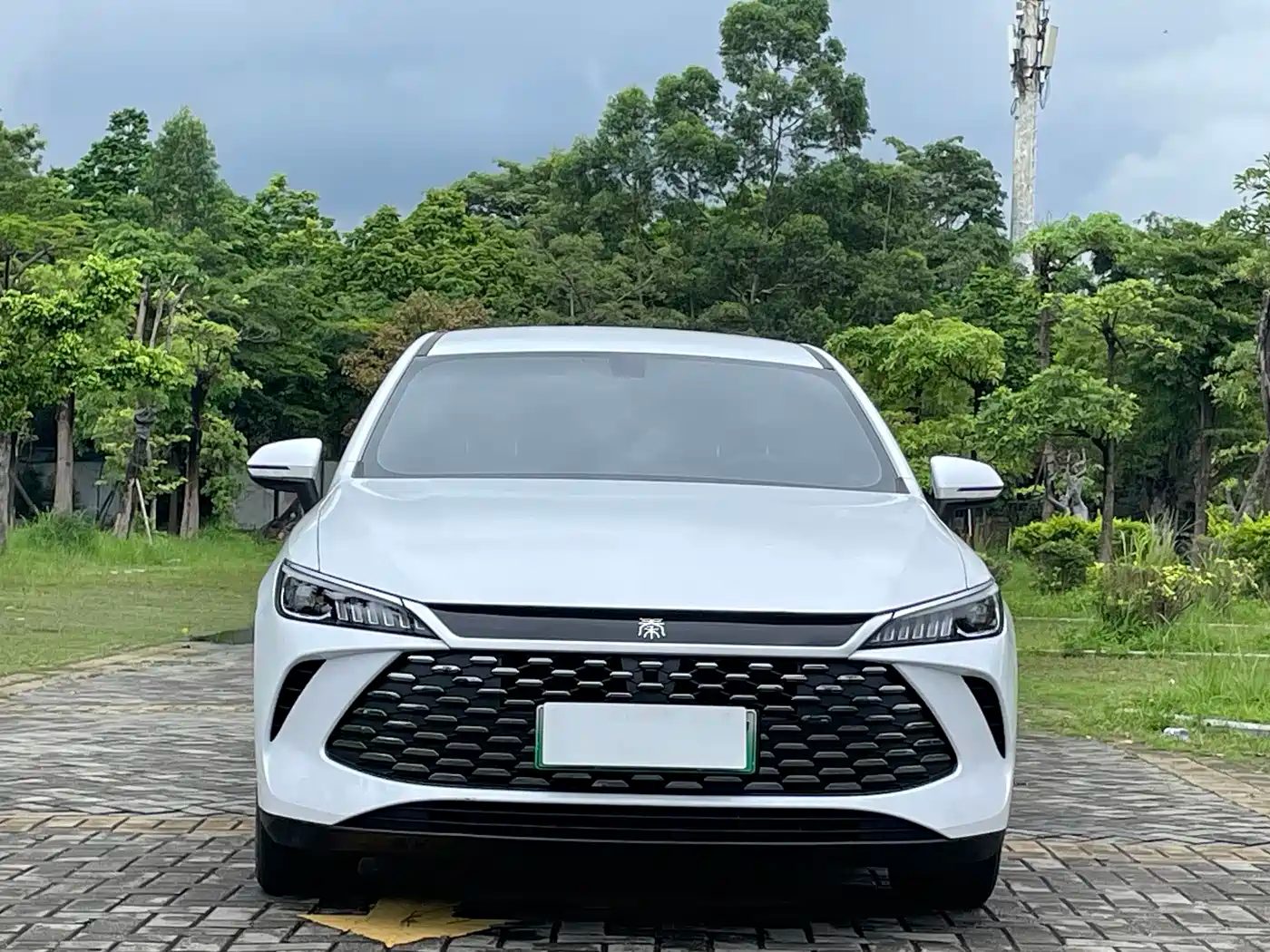 BYD Qin Plus 2025 — фото 3