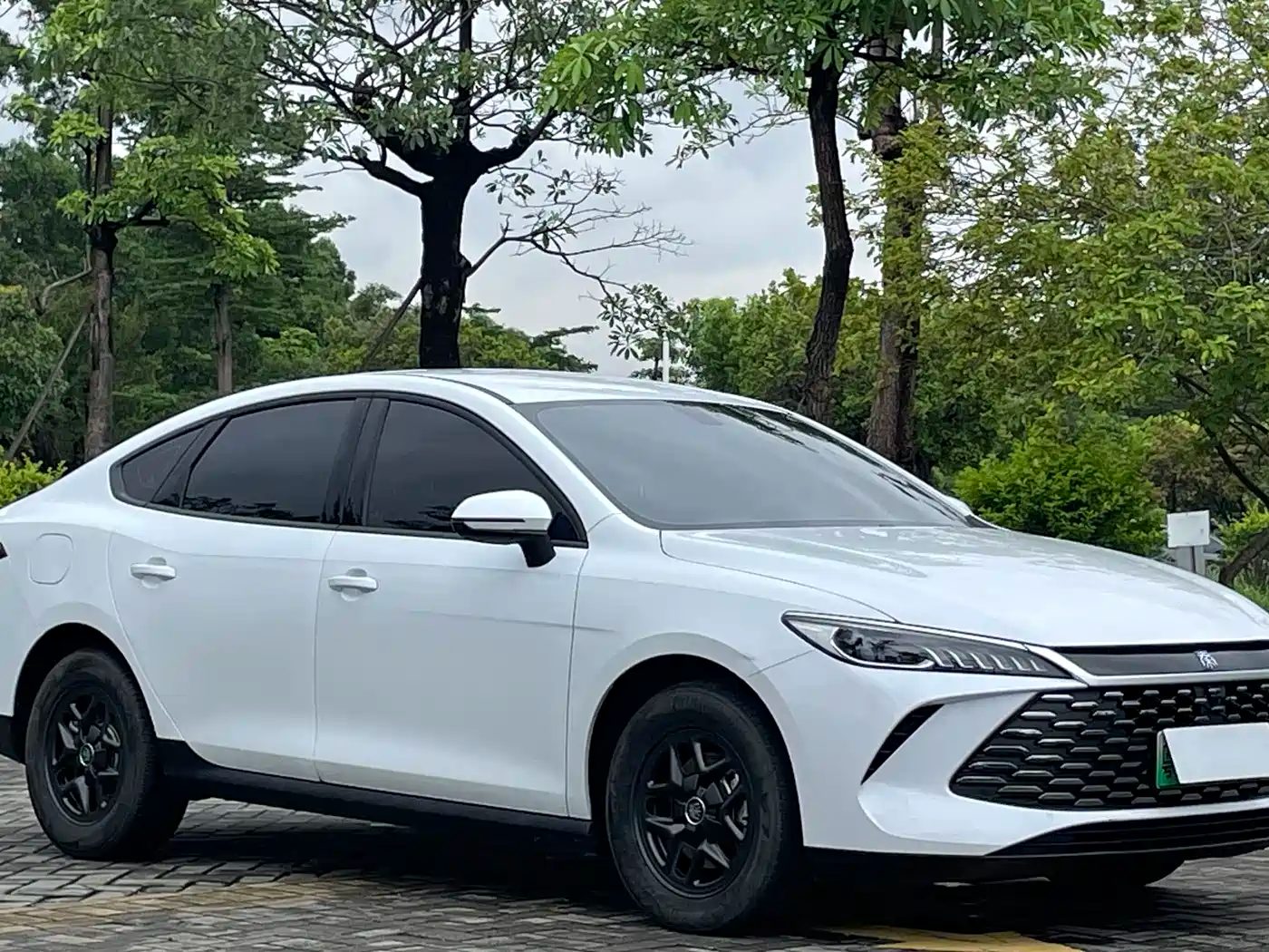 BYD Qin Plus 2025 — фото 4