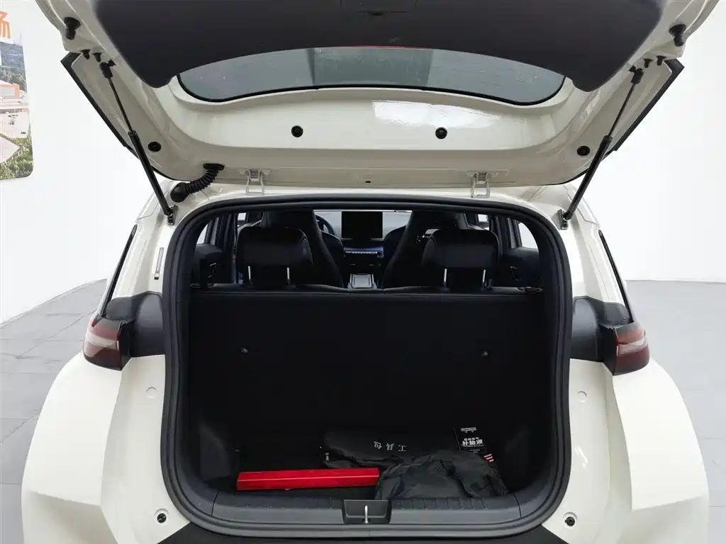 BYD Seagull 2024 — миниатюра 16