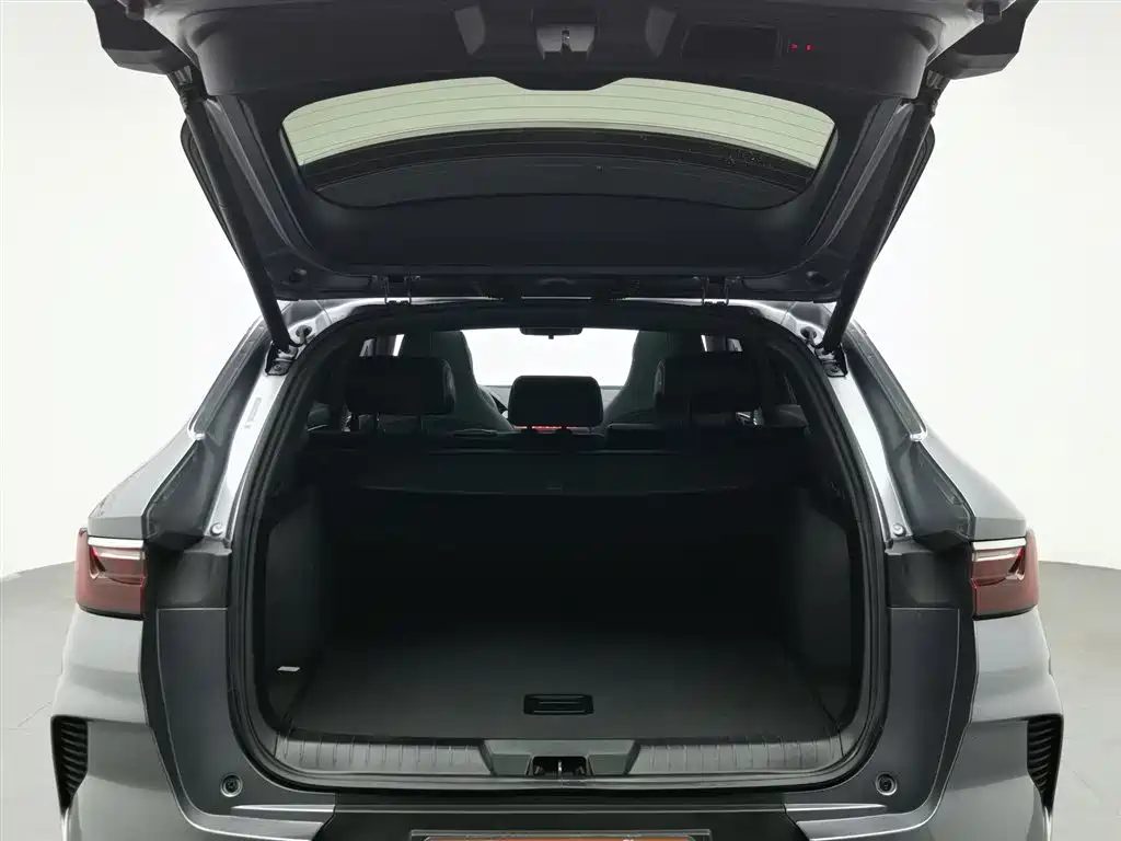 BYD Song Plus 2021 — миниатюра 16