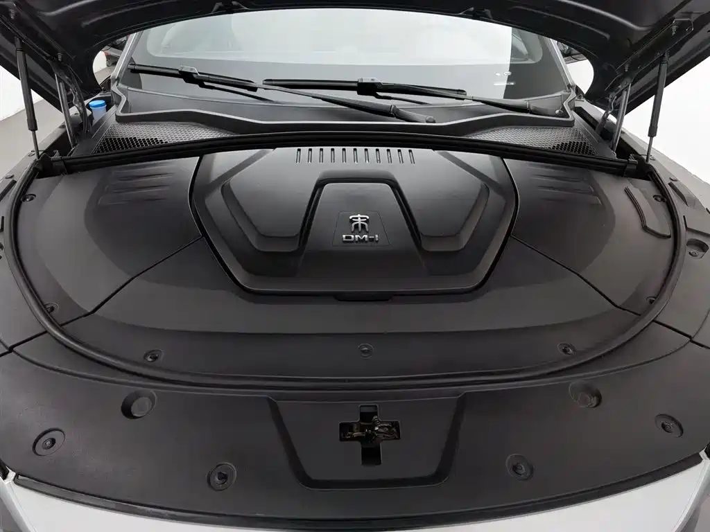 BYD Song Plus 2021 — миниатюра 6