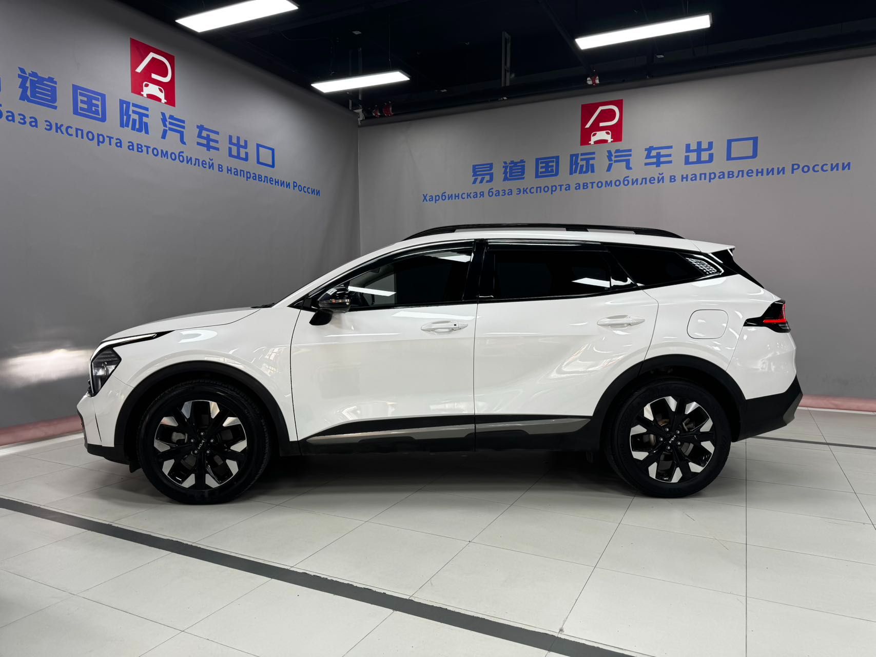 Kia Sportage 2023 — фото 4