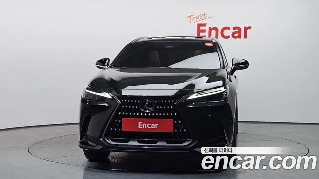 Lexus NX 2024 — миниатюра 3
