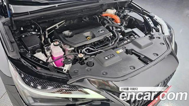 Lexus NX 2024 — миниатюра 6