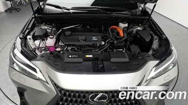 Lexus NX 2025 — миниатюра 6